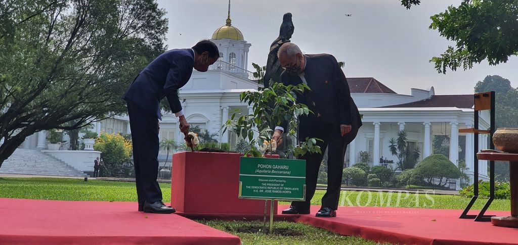 Presiden Joko Widodo menanam pohon bersama Presiden Republik Demokratik Timor Leste José Ramos Horta di halaman Istana Kepresidenan Bogor, Selasa (19/7/2022). Pohon menjadi lambang persahabatan kedua negara. 