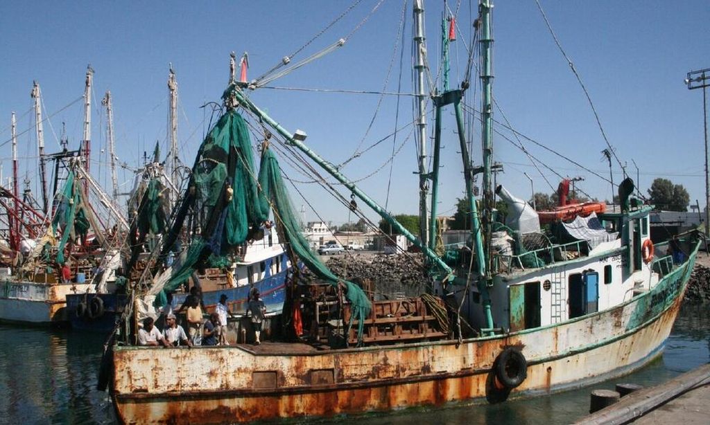 Kapal penangkap udang di Teluk California di Meksiko. Diunduh dari laman WWF.