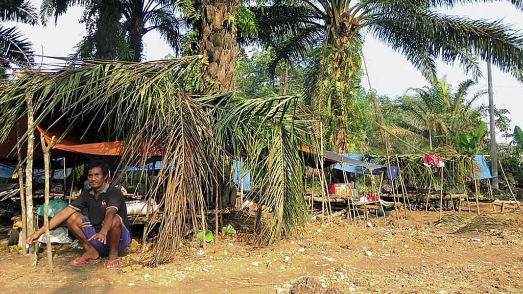 Wilayah hidup Orang Rimba kini menjadi perkebunan sawit di Desa Mentawak, Kecamatan Tabir, Kabupaten Merangin, Jambi, Senin (19/11/2018). Untuk bertahan hidup, Orang Rimba membangun hunian darurat beratap terpal plastik dan daun sawit.