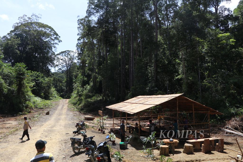 Gubuk yang disebut <i>labah todung</i> tampak di pinggir hutan kapur barus (<i>Dryobalanops aromatica</i>) di Desa Sibagindar, Kecamatan Pagindar, Kabupaten Pakpak Bharat, Sumatera Utara, Minggu (3/7/2022). 
