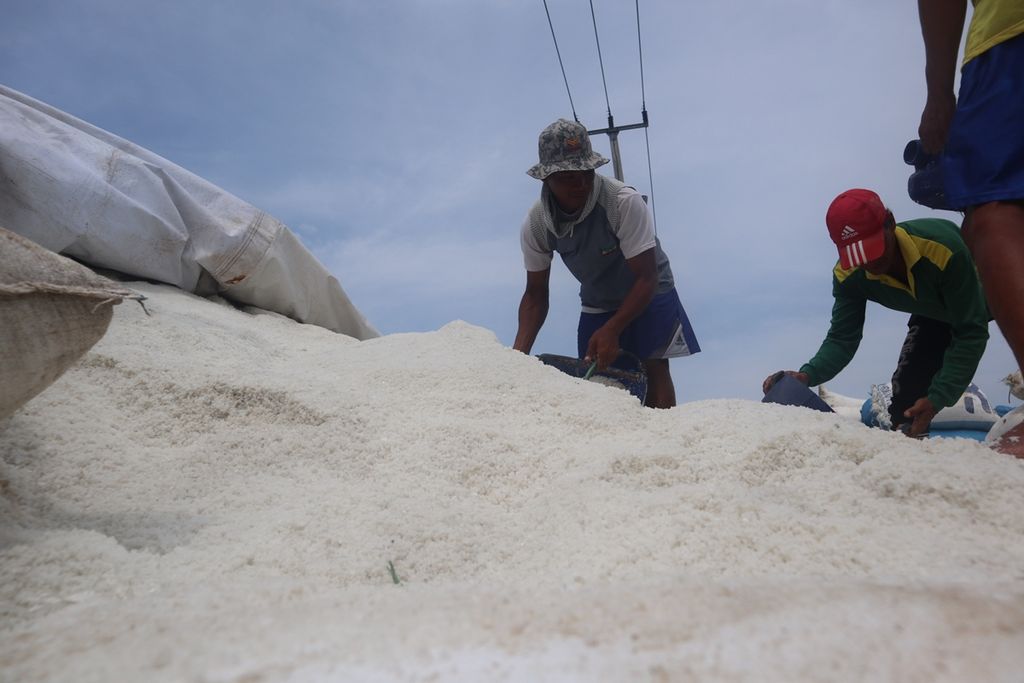 Pekerja memasukkan garam ke dalam karung untuk ditimbang di desa Rawaurip, Kecamatan Pangenan, Kabupaten Cirebon, Kamis (5/12/2019). Harga garam di tingkat petani menyentuh Rp 100 per kilogram. Petani berharap pemerintah dapat menyerap garam rakyat dengan harga bagus.