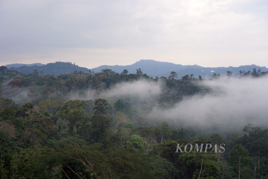 Suasana perbukitan dan pegunungan di Kampung Mului, Desa Swan Slotung, Kecamatan Muara Komam, Kabupaten Paser, Kalimantan Timur, Minggu (19/11/2023).