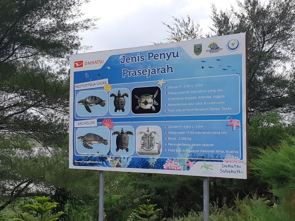 Suasana lokasi Konservasi Penyu Kaliratu di Desa Jogosimo, Klirong, Kebumen, Jawa Tengah, Rabu (8/6/2022).