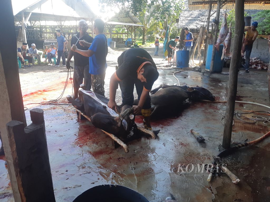 Penyembelihan hewan kurnban dari salah satu rumah pemotongan hewan di Palembang, Sumatera Selatan, Sabtu (9/7/2022). 
