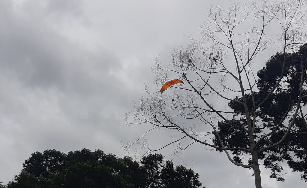 Aktivitas olahraga paralayang menghiasi langit di atas kawasan Gunung Mas, Cisarua, Kabupaten Bogor, Jawa Barat, Kamis (3/3/2022).
