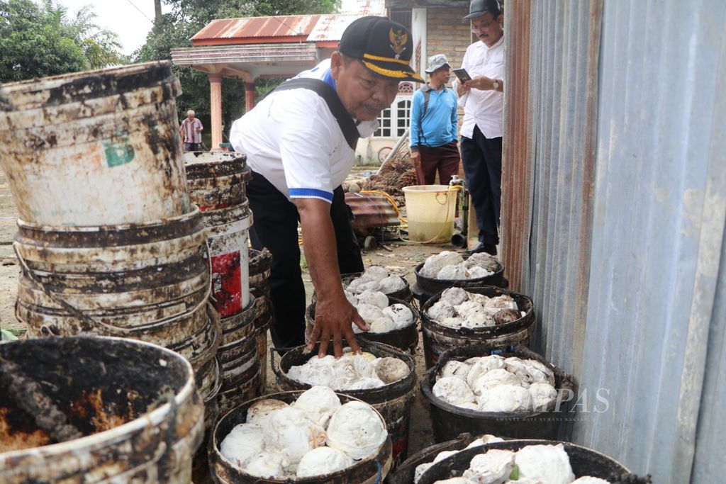 Kepala Desa Bah Damar Mislan Purba (52) mengumpulkan getah karet petani di desanya di Kecamatan Dolok Merawan, Kabupaten Serdang Bedagai, Sumatera Utara, Sabtu (3/11/2018). 