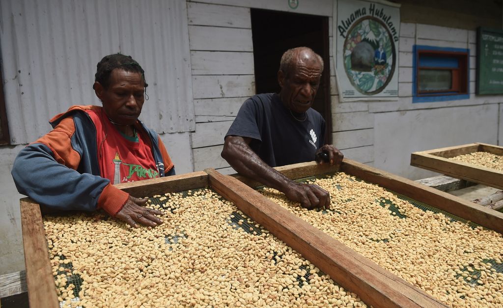 Coffee farmer Hubert Marian (right), dries coffee on Wednesday (17/11/2021) in Wosilimo district, Jayawijaya regency, Papua.