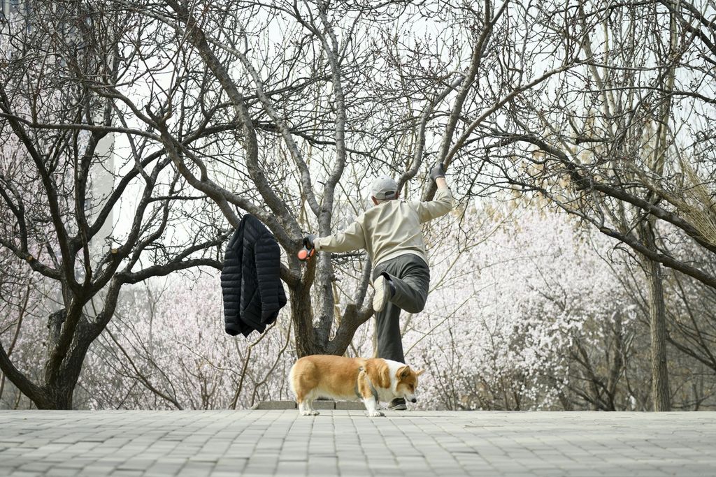 Seorang pria lanjut usia berolahraga di tepi jalan di Beijing, China, 18 Maret 2024. 