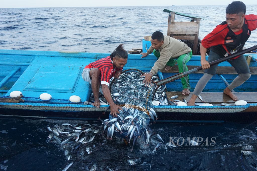 Nelayan menjaring ikan momar (layang) di perairan Banda Naira, Kabupaten Maluku Tengah, Maluku, Senin (18/9/2023).