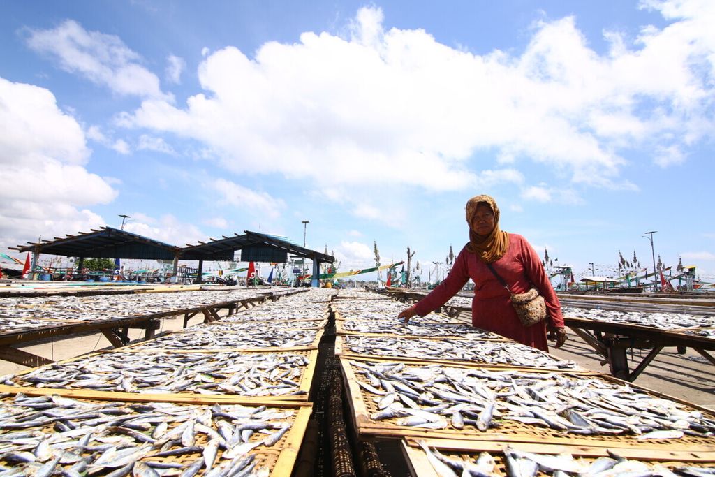 Ilustrasi pengolahan ikan asin di Pelabuhan Muncar Banyuwangi. Foto diambil Oktober 2020. 