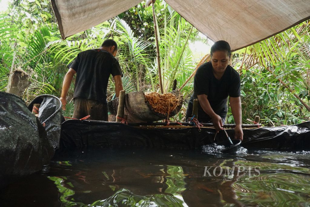 Melly Kuhanta (41) mengambil air untuk mengolah sagu di perkebunan rakyat Kampung Bowone, Tabukan Selatan Tengah, Kepulauan Sangihe, Sulawesi Utara, Sabtu (7/8/2021). Satu pohon sagu dapat menghasilkan 150 kilogram sagu bubuk.
