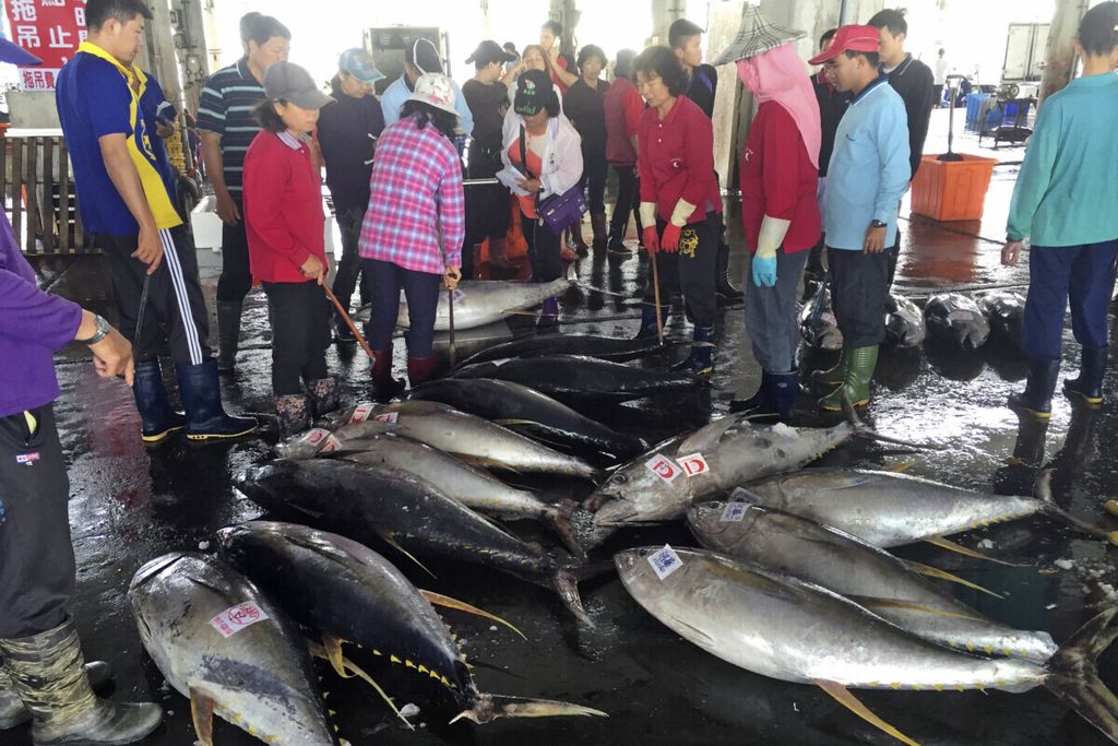Arsip foto pada 31 Maret 2016 menunjukkan aktivitas di tempat pelelangan ikan di Donggang, Taiwan. AS menghentikan impor produk laut dari kapal berbasis Taiwan menyusul adanya laporan kasus kerja paksa.