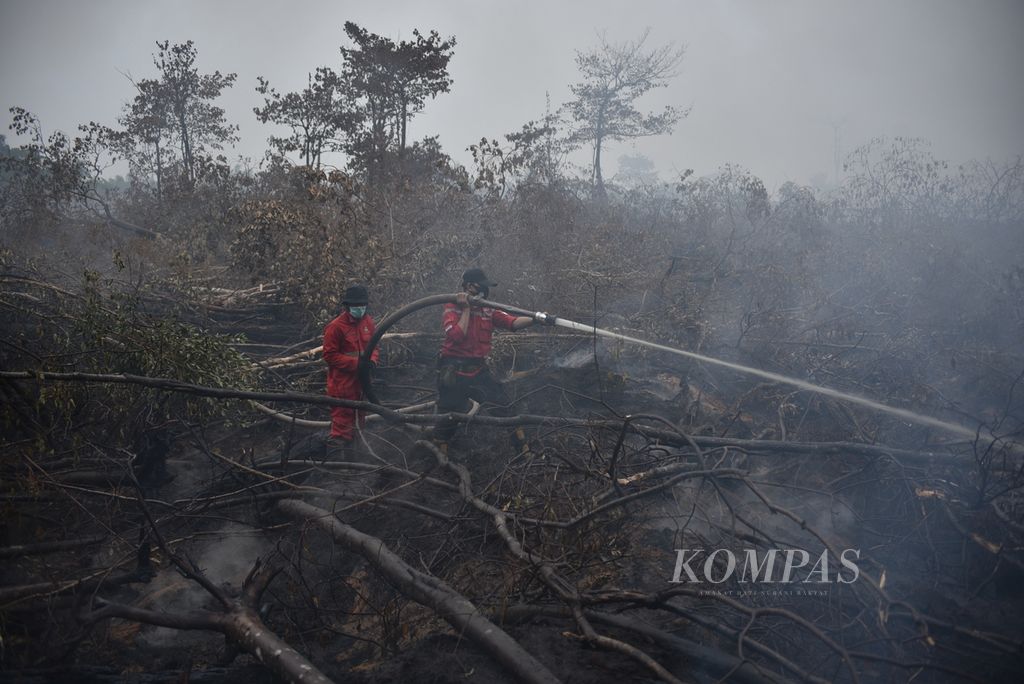 Anggota Manggala Agni Daops Sumatera 14 Banyuasin berusaha memadamkan kebakaran lahan gambut di kawasan Desa Palem Raya, Kecamatan Indralaya Utara, Kabupaten Ogan Ilir, Sumatera Selatan, Rabu (25/10/2023). 