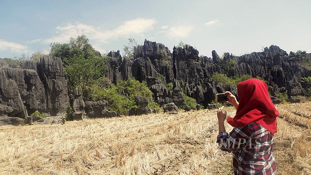 Seorang pengunjung memotret hutan batu karst di wilayah Rammang-Rammang, Maros, Sulawesi Selatan. Hutan batu karst menjadi salah satu kekayaan Kabupaten Maros dan Pangkep yang masuk dalam kawasan Taman Nasional Bantimurung-Bulusaraung. Hutan batu karst menjadi salah satu obyek wisata di daerah ini