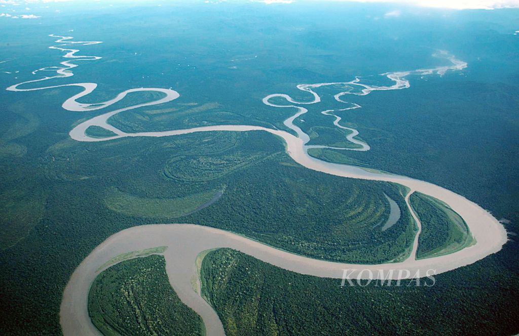 Hutan membentang terlihat dari pesawat tujuan Wamena-Jayapura, Papua, Desember 2018. Selain sebagai paru-paru dunia, kelestarian hutan juga menjamin keanekaragaman hayati.