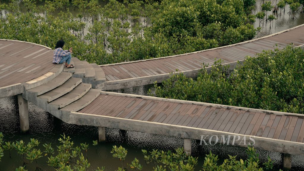 Wisatawan menikmati suasana Taman Mangrove Ketapang di Kecamatan Mauk, Kabupaten Tangerang, Banten, Minggu (16/1/2022). Selain sebagai taman wisata, kawasan tersebut juga tengah gencar ditanami ribuan bibit mangrove untuk pelestarian lingkungan sekitar dari ancaman abrasi. Pembangunan area wisata bahari berupa hutan mangrove seluas 14,5 hektar di kawasan pesisir tersebut dilakukan bertahap sejak tahun 2019. 