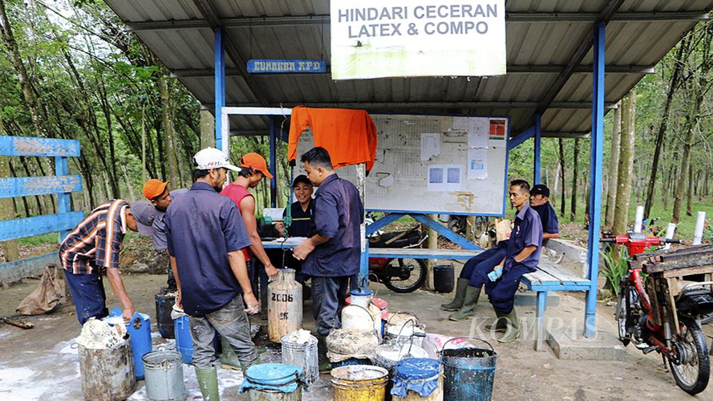 Para pekerja mengumpulkan getah karet hasil sadapan dari Kebun Gunung Para PT Perkebunan Nusantara III, di Kecamatan Dolok Merawan, Kabupaten Serdang Bedagai, Sumut, Selasa (27/3/2018).