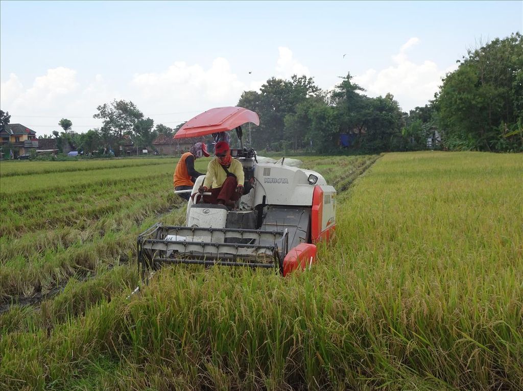 Petani memanen padi menggunakan mesin modern pemanen padi di Desa Sajen, Kecamatan Trucuk, Klaten, Jawa Tengah, Kamis (4/4/2019)