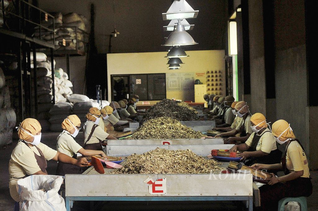 Pekerja menyortir jahe kering di pabrik jamu modern PT Deltomed Laboratories di Desa Nambangan, Selogiri, Wonogiri, Jawa Tengah, Rabu (3/7/2013). Jahe tersebut nantinya akan diolah dengan memanfaatkan teknologi dari Jerman untuk dijadikan obat herbal.