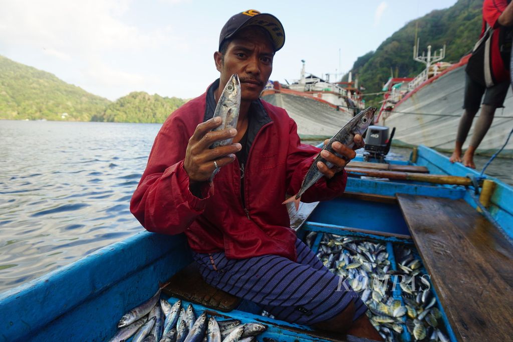 Nelayan menunjukkan tangkapan ikan momar (layang) di Banda, Kabupaten Maluku Tengah, Maluku, Senin (18/9/2023). 