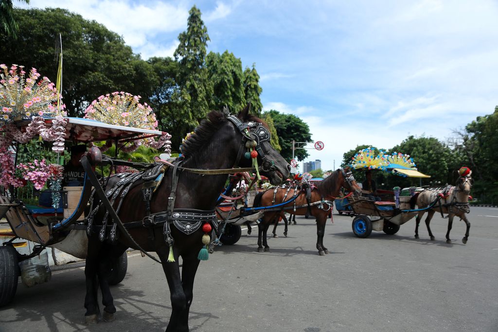 Delman wisata berjajar di sekitar Monumen Nasional (Monas), Jakarta Pusat, Minggu (20/11/2022). 