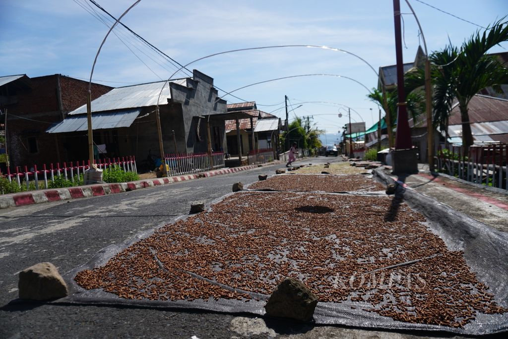 Butiran cengkeh dijemur di Desa Mangkit, Kecamatan Belang, Minahasa Tenggara, Sulawesi Utara, Rabu (10/1/2024).