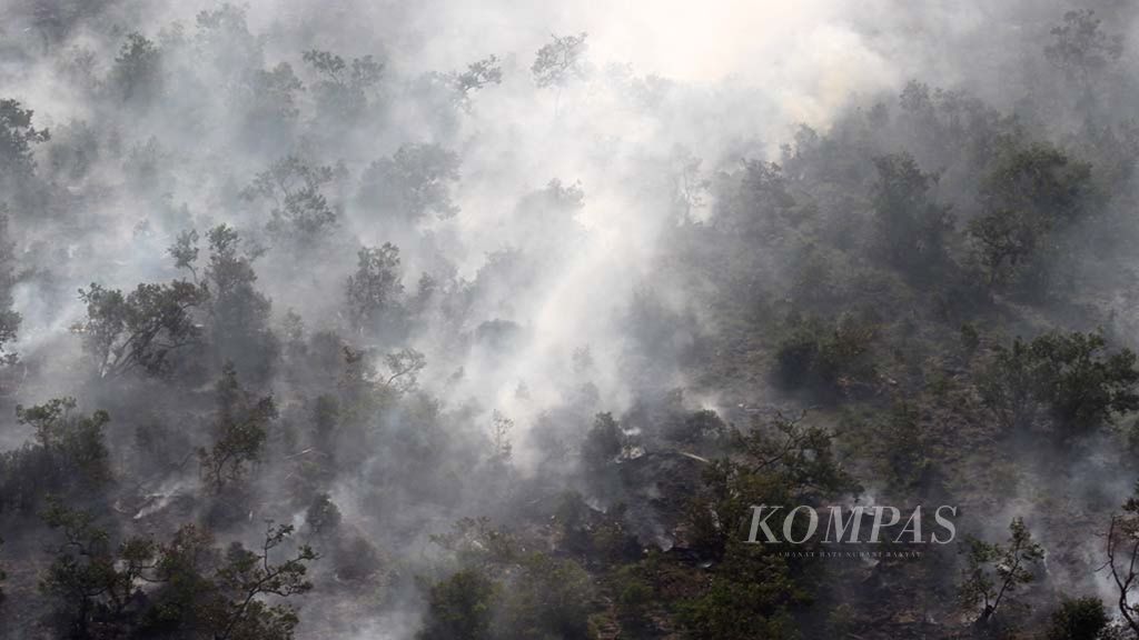 Titik api membakar tanaman di Desa Cinta Jaya, Kecamatan Pedamaran, Kabupaten Ogan Komering Ilir, Kamis (19/7/2018).