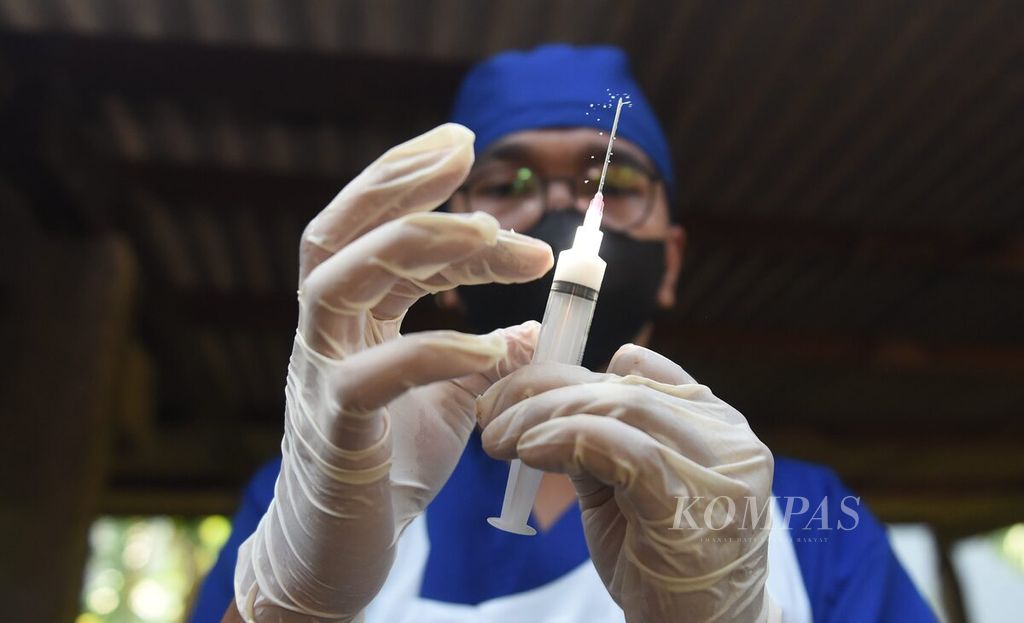 Petugas menyiapkan vaksin penyakit mulut dan kuku ke sapi perah dengan suntikan manual di Kelurahan Bendul Merisi, Kecamatan Wonocolo, Kota Surabaya, Jawa Timur, Sabtu (25/6/2022). 