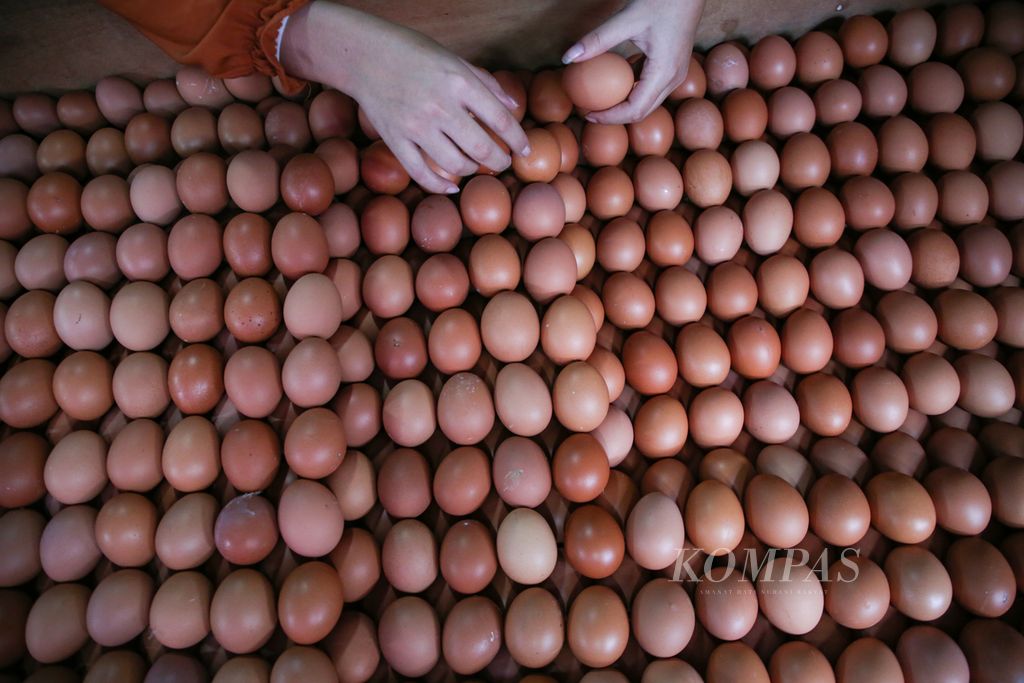 Pedagang menata telur ayam ras untuk menarik minat pembeli di Pasar Anyar, Kota Tangerang, Banten, Rabu (22/2/2023). 