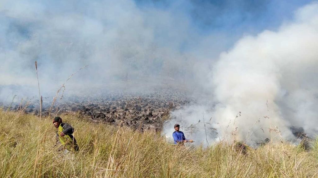 Petugas berupaya memadamkan sabana yang terbakar di Taman Nasional Bromo Tengger Semeru di Jawa Timur, Rabu (30/8/2023).
