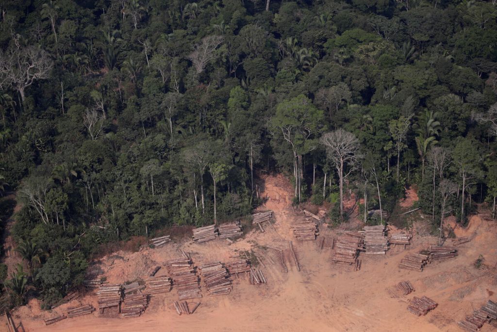 Kayu yang ditebang secara ilegal dari hutan hujan Amazon terlihat di pabrik penggergajian kayu di dekat Humaita, Negara Bagian Amazonas, Brasil, 22 Agustus 2019.