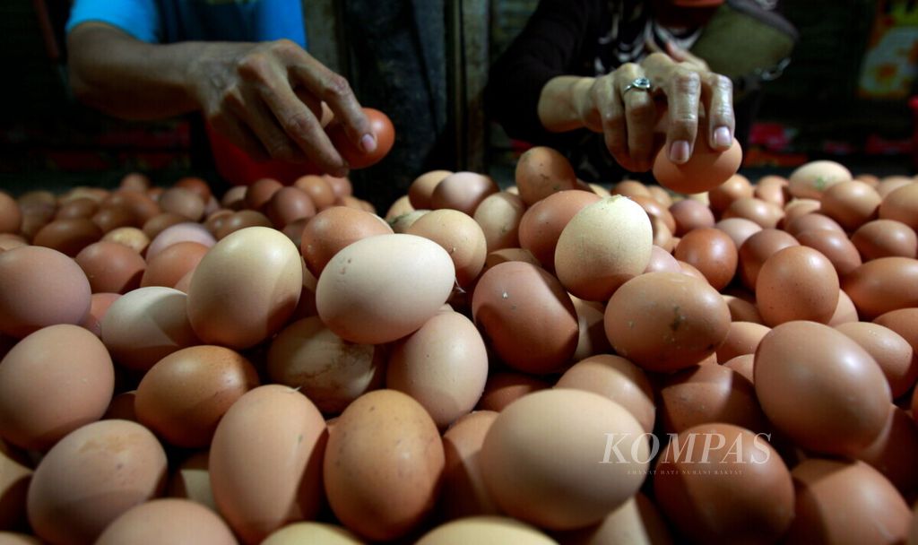 Konsumen memilih telur ayam negeri di Pasar Buncit Raya, Jakarta, Minggu (28/7/2019).