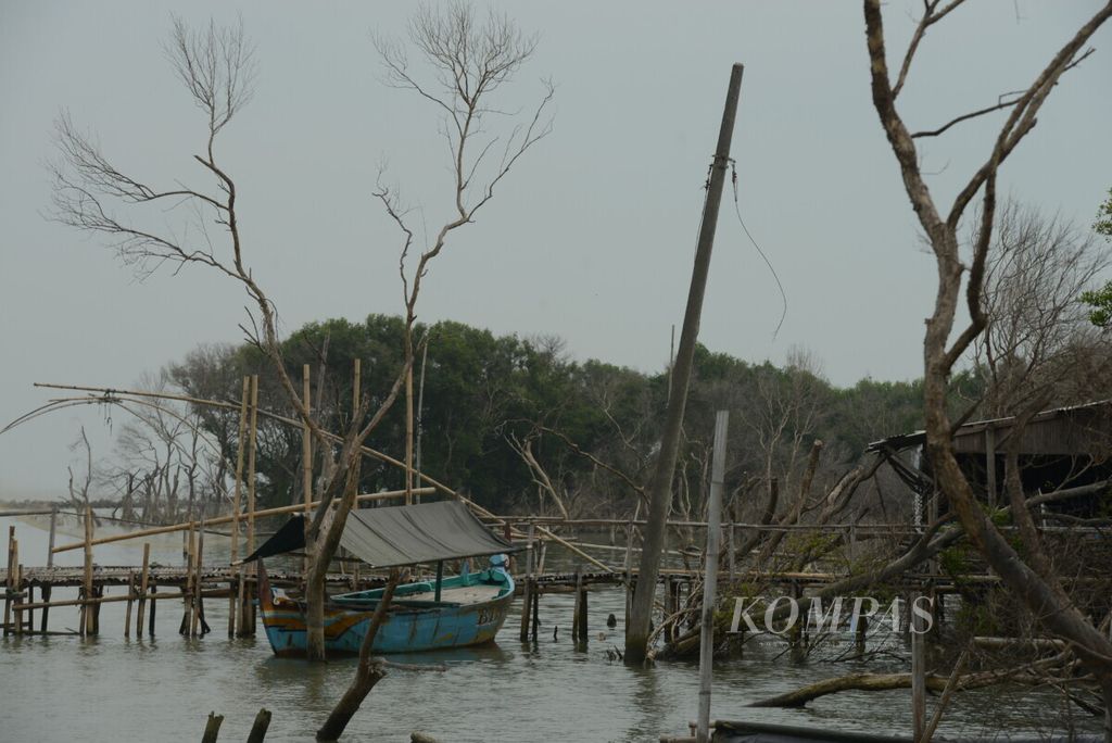 Perahu warga ditambatkan di sekitar kawasan mangrove yang mulai rusak di Desa Bedono, Kecamatan Sayung, Kabupaten Demak, Jawa Tengah, pertengahan Juni 2019. 