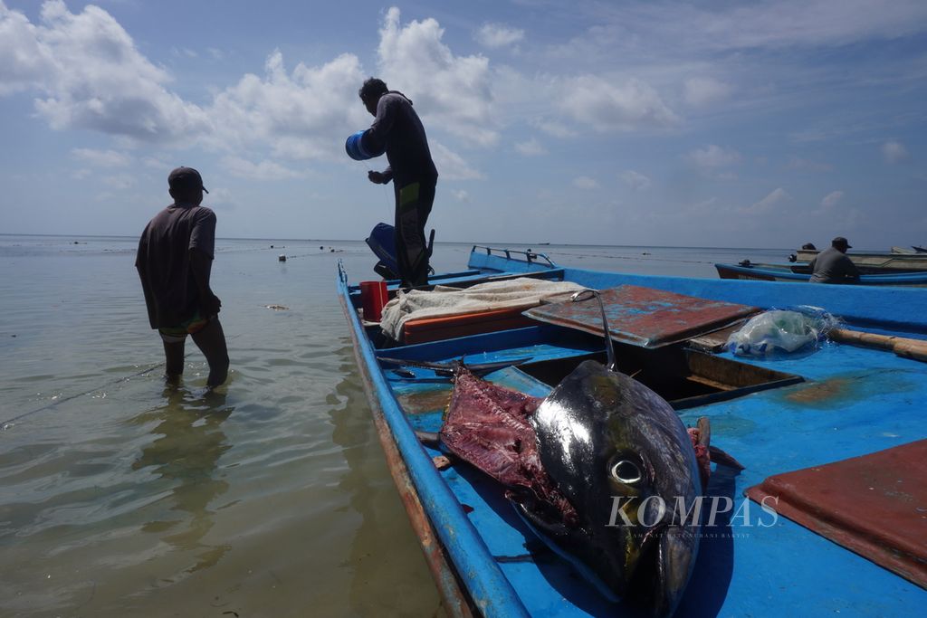 Kepala tuna tergeletak di atas kapal nelayan di Pulau Run, Kecamatan Banda, Kabupaten Maluku Tengah, Maluku, Selasa (19/9/2023).