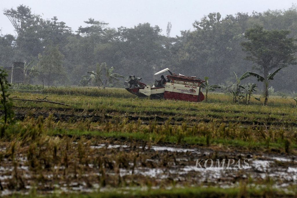 Pekerja mengoperasikan mesin pemotong padi atau biasa disebut <i>combine</i> saat hujan di Kedawung, Sragen, Jawa Tengah, Rabu (1/3/2023). Berdasarkan data BPS, beras menjadi pemicu utama inflasi bulanan. Curah hujan yang tinggi pada Februari 2023 membuat kualitas gabah buruk. 
