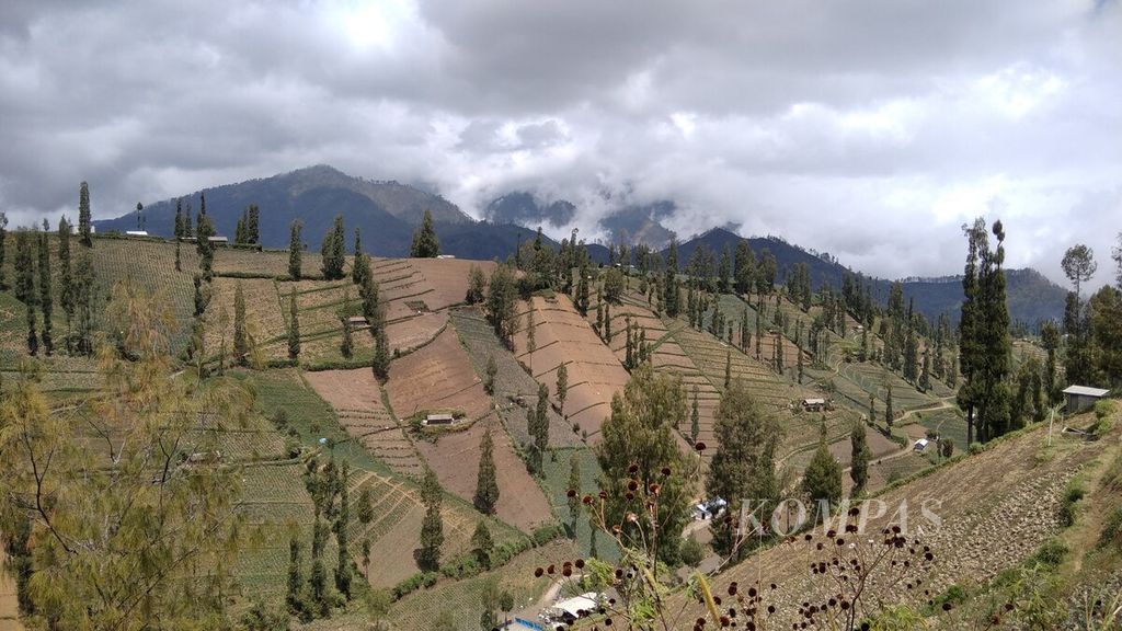 Bentang alam lahan pertanian indah di Desa Ngadas, Kecamatan Poncokusumo, Kabupaten Malang, Jawa Timur, dengan latar belakang Gunung Semeru tertutup awan, 28 Agustus 2020.