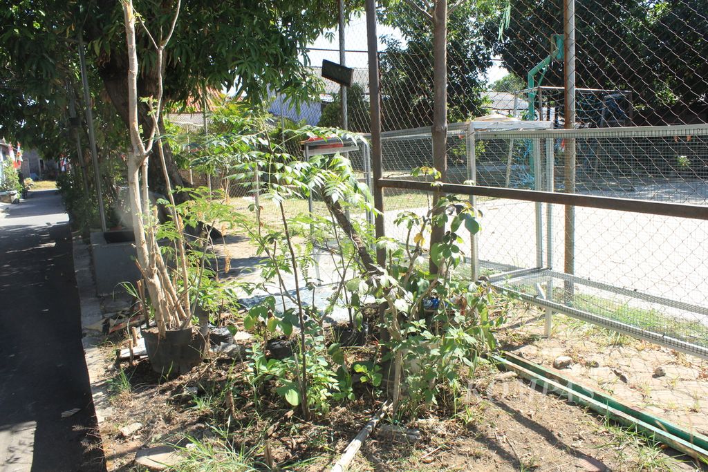 Sejumlah tanaman tampak di depan rumah Yuli Hasan, pemilik Swarna Alam, di Jalan Ketilang Raya, Kecamatan Harjamukti, Kota Cirebon, Jawa Barat, Selasa (1/8/2023). Tumbuhan itu dijadikan motif untuk memproduksi kain dengan teknik <i>ecoprint</i>.