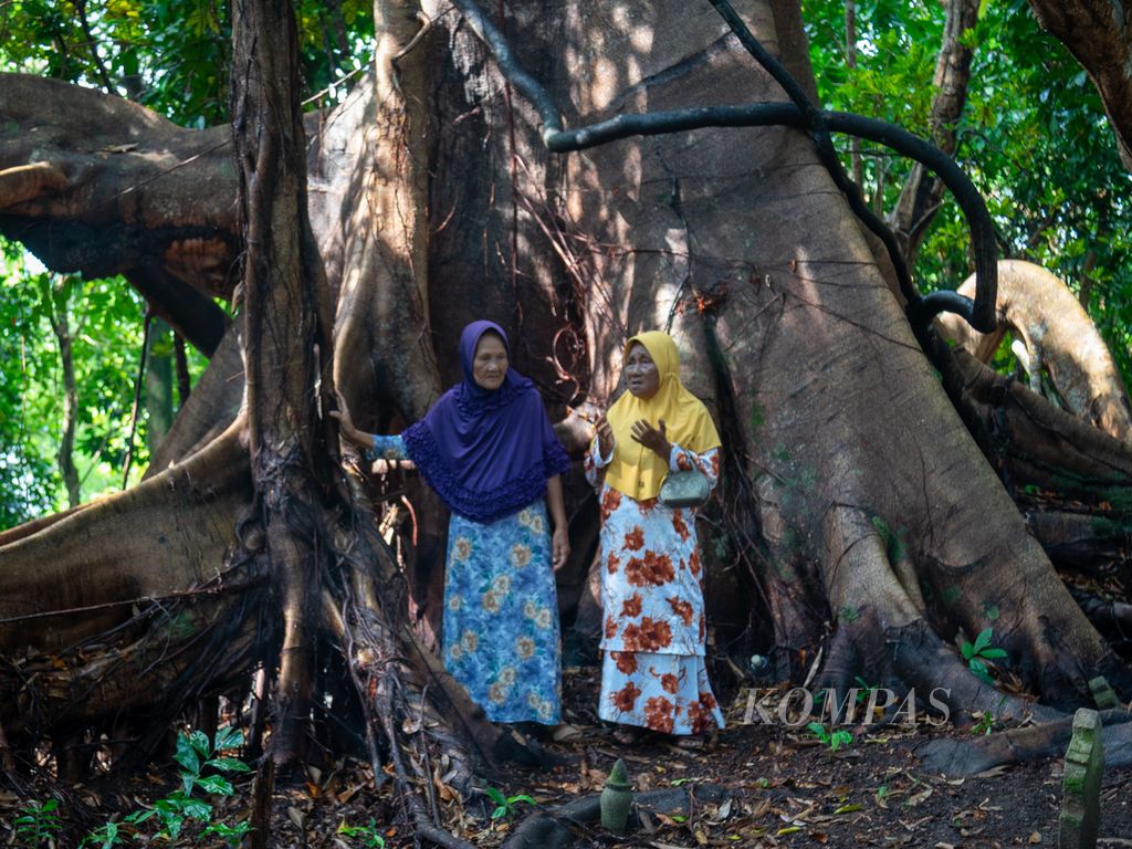 Warga ziarah kubur dan berdoa di bawah pohon ara di hutan keramat Lubuk Lanjut, Pulau Rempang, Batam, Kepulauan Riau Jumat (6/9/2024). 