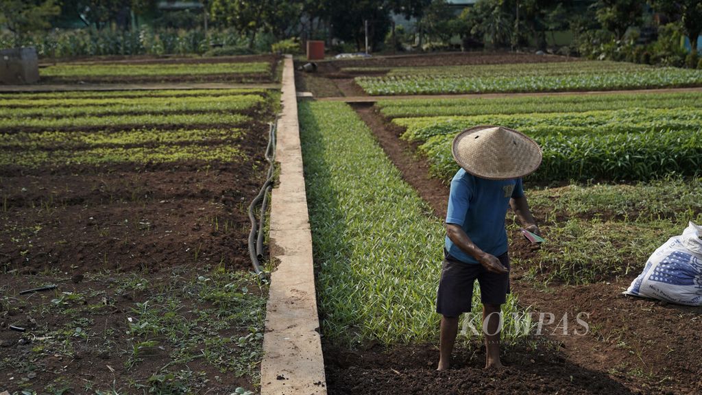 Pekerja menebar benih tanaman di kawasan Agro Edukasi Wisata Ragunan, di Jakarta Selatan, Desember 2020. 