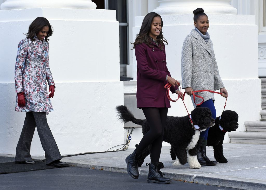 Dalam foto pada November 2014 ini terlihat keluarga Presiden Amerika Serikat, Michelle Obama (kiri), Malia (tengah), dan Sasha (kanan) menemami Bo (hitam putih) dan Sunny (hitam) berjalan di kompleks Gedung Putih. Bo dan Sunny sebagian dari banyak hewan peliharaan yang tinggal di Gedung Putih sejak masa John Adams.