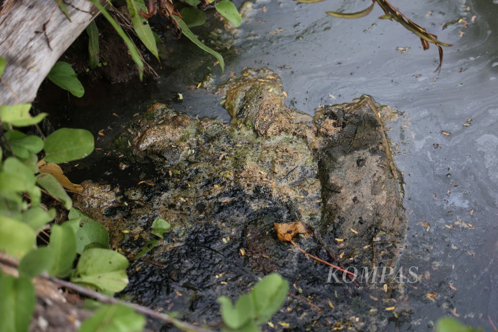 Kondisi di dekat instalasi pengelolaan limbah sebuah tambak udang di Dusun Legon Nipah, Desa Kemujan, Karimunjawa, Jepara, Kamis (18/4/2024).