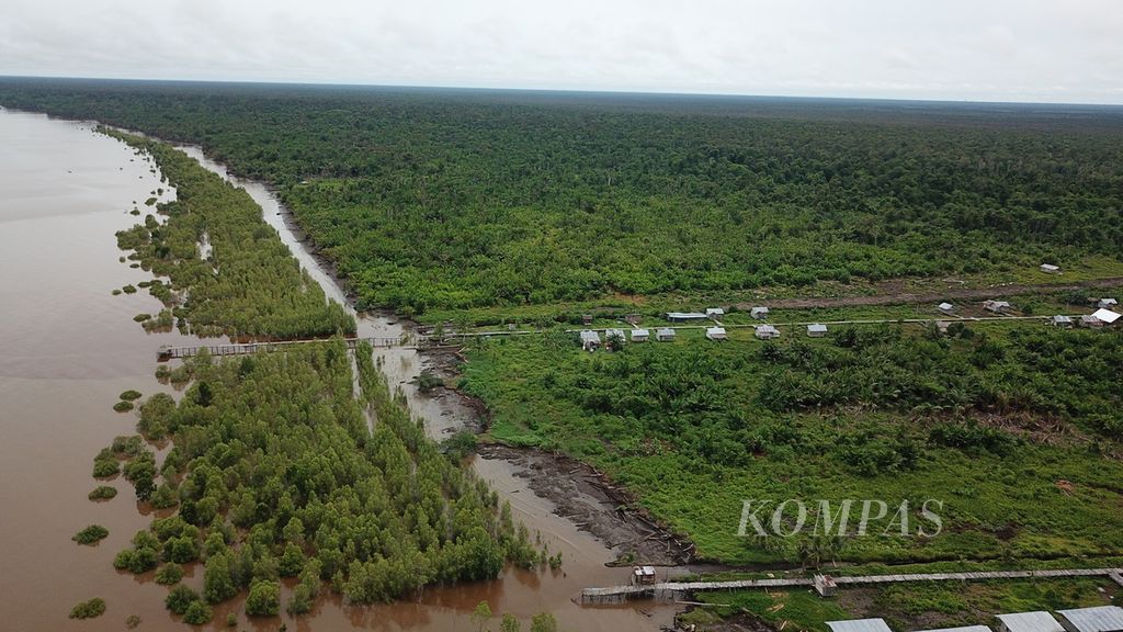 The mangrove forest on the coast protects Taroi Village, Teluk Bintuni Regency, West Papua, from abrasion, Sunday (18/4/2021).