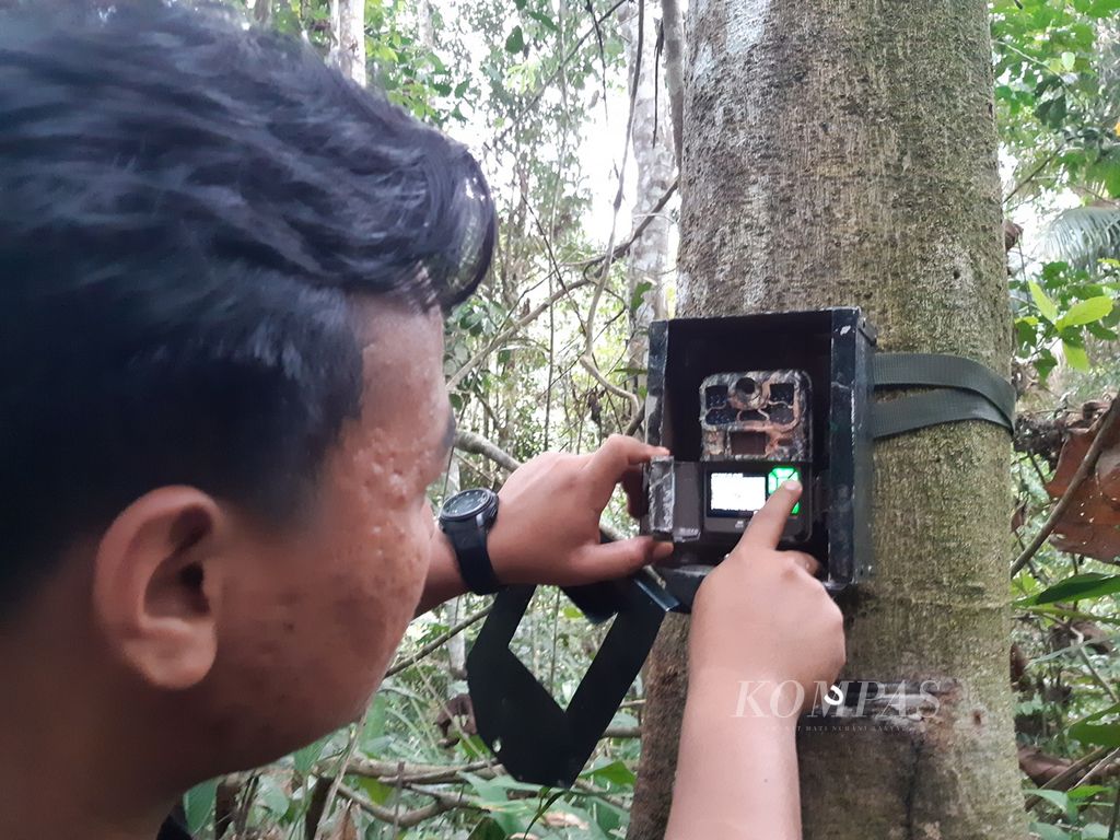 Koordinator Keanekaragaman Hayati YIARI Aris Subagio (kiri) menunjukkan cara pemasangan kamera jebak di Hutan Lindung Batutegi, Lampung, Sabtu (16/9/2023).