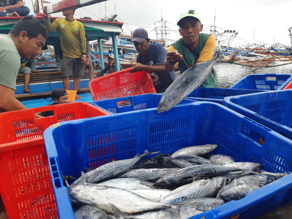 Nelayan memilah ikan di Pelabuhan Perikanan Pulau Baai, Bengkulu, Selasa (14/11/2023). Nelayan di sana masih membutuhkan fasilitas <i>cold storage</i> untuk mengawetkan ikan.