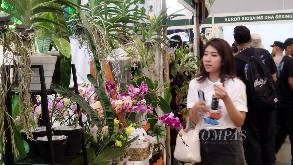 Salah seorang pengunjung tengah melihat pameran tanaman hias dalam Floriculture Indonesia International Expo 2023 di ICE BSD, Kabupaten Tangerang, Kamis (28/9/2023).
