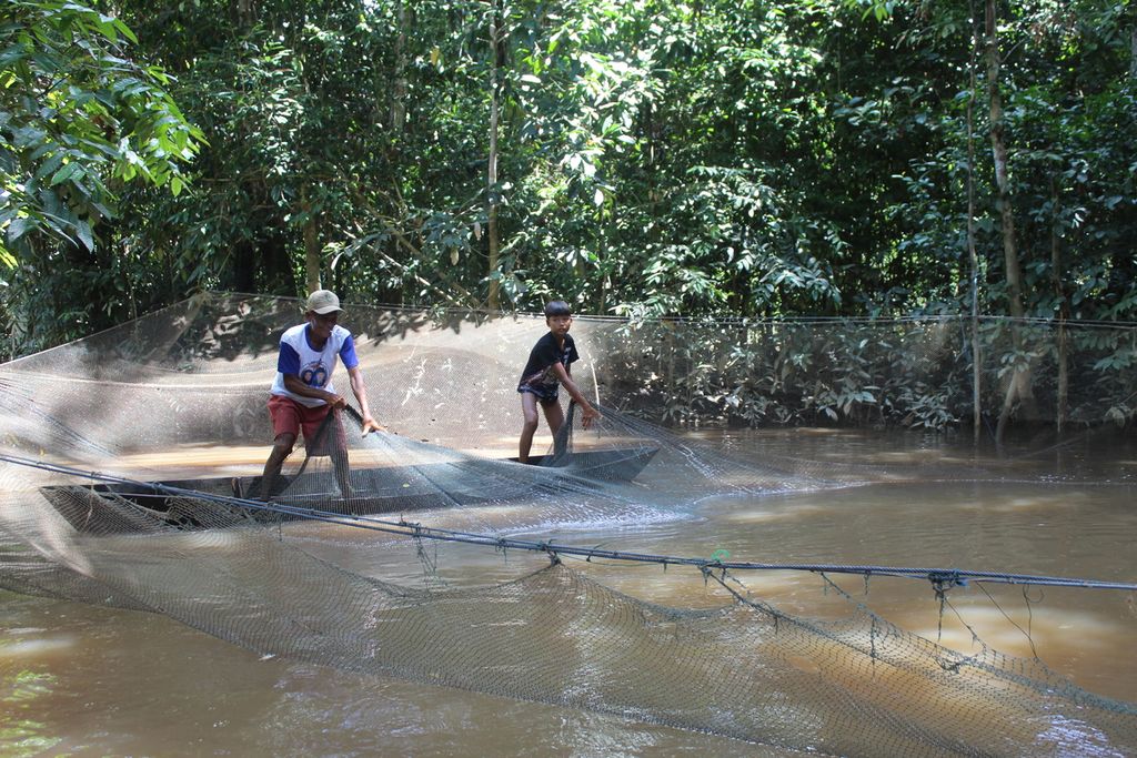 Nelayan tradisional dari Bukit Sua, Kota Palangkaraya, Kalteng, mengangkat jaring ikan dalam rangkaian acara Festival Pangan pada Kamis (17/2/2022). Teknik ini disebut <i>salamboa</i>. Mereka kemudian menyimpan ikan yang terperangkap di keramba sampai ada yang menawar atau untuk dimakan sendiri.