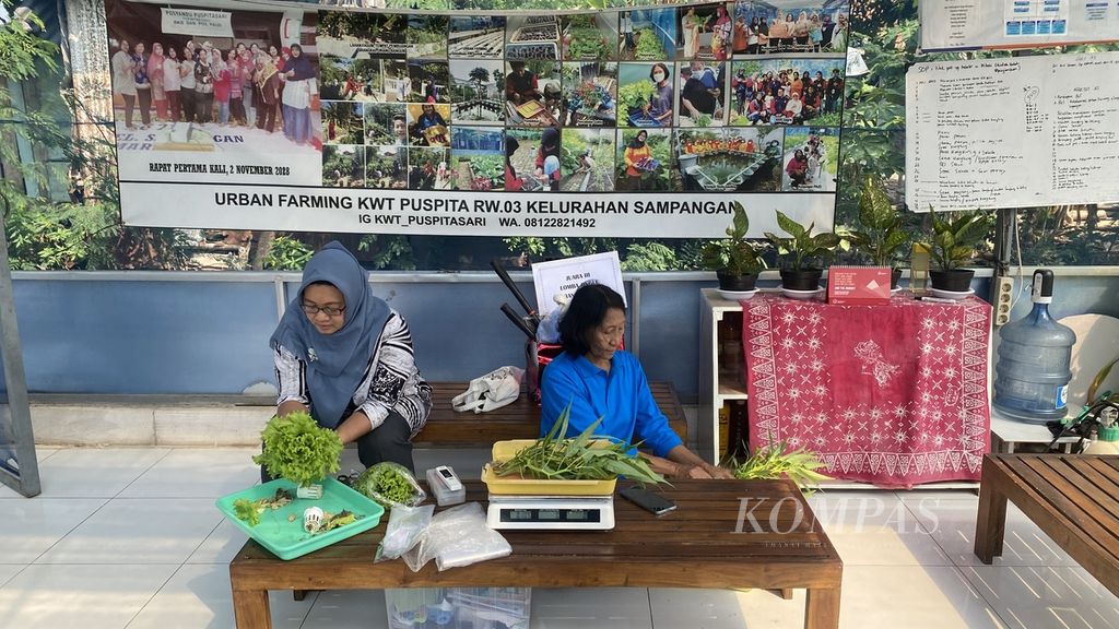 Anggota Kelompok Wanita Tani Puspitasari membungkus hasil panen pertanian urban yang mereka lakoni di sebuah lahan kosong di Kelurahan Sampangan, Kecamatan Gajahmungkur, Kota Semarang, Jawa Tengah, Minggu (27/8/2023). 