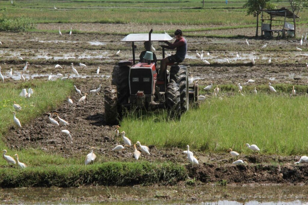 Workers are plowing rice fields in the Blang Bintang area of Aceh Besar Regency, Aceh, on Tuesday (12/5/2020).