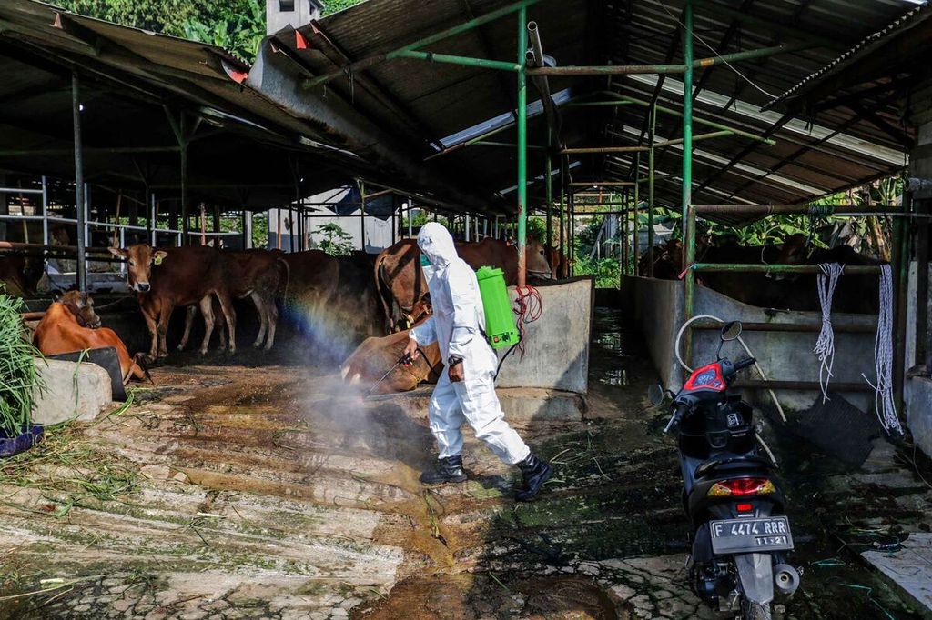 Petugas Dinas Ketahanan Pangan dan Pertanian (DKPP) Kota Bogor, Selasa (21/6/2022), menyemprotkan disinfektan di sekitar area Rumah Pemotongan Hewan (RPH) Bubulak. Hingga Selasa tercatat ada 184 kasus PMK di Kota Bogor.
