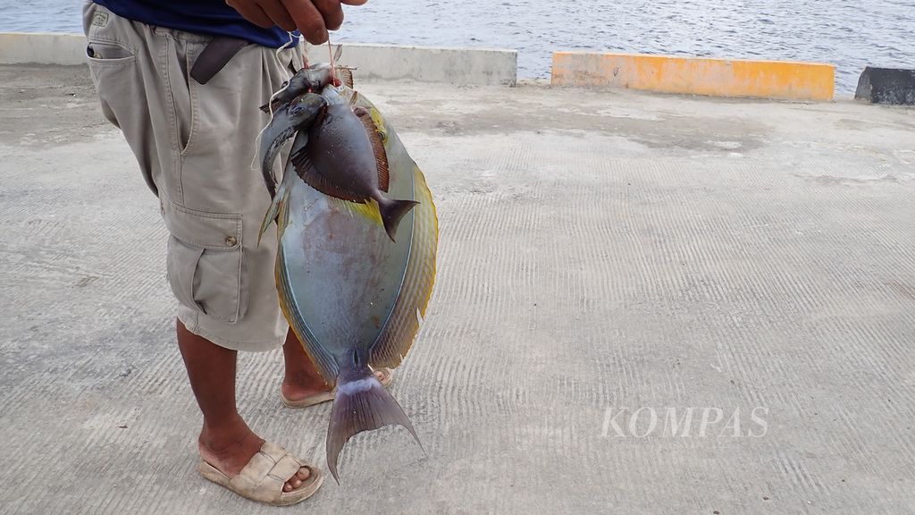 Ikan hasil tangkapan nelayan suku Bajau dibawa ke darat di Pelabuhan Panggulubelo di Wangi-Wangi, Kabupaten Wakatobi, Sulawesi Tenggara, Rabu (1/5/2024).